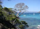 10-Porquerolles-VAR